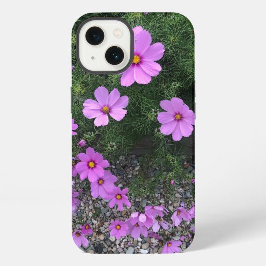 Etui iPhone 13 Fleurs de Cosmos avec des galets sur un (Verso)
