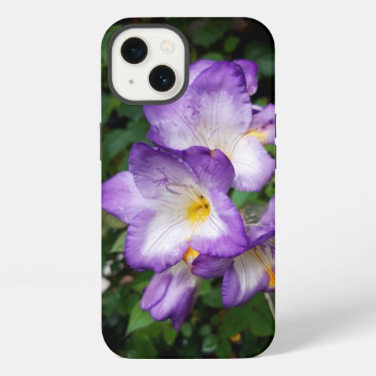 Etui iPhone 13 Fleurs de Freesia Violettes (Verso)