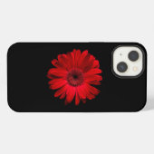 Etui iPhone 13 Fleurs | Gerbera Daisy rouge (Verso Horizontal)