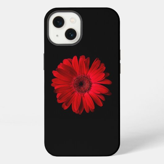 Etui iPhone 13 Fleurs | Gerbera Daisy rouge (Verso)