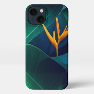 Etui iPhone 13 Fleurs   Oiseau du paradis