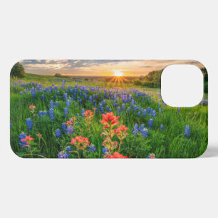 Etui iPhone 13 Fleurs Texas Bluebonnets & Indian Paintbrush