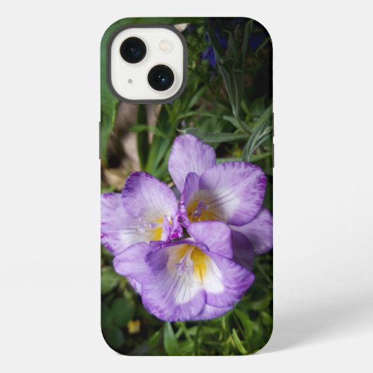 Etui iPhone 13 Fleurs violettes Freesia (Verso)