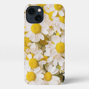 Etui iPhone 13 Flowers (homonymie)   Bunch of Chamomiles