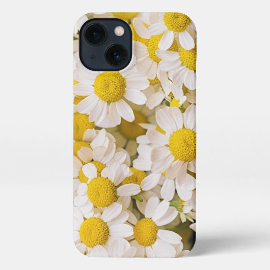 Etui iPhone 13 Flowers (homonymie) | Bunch of Chamomiles (Verso)