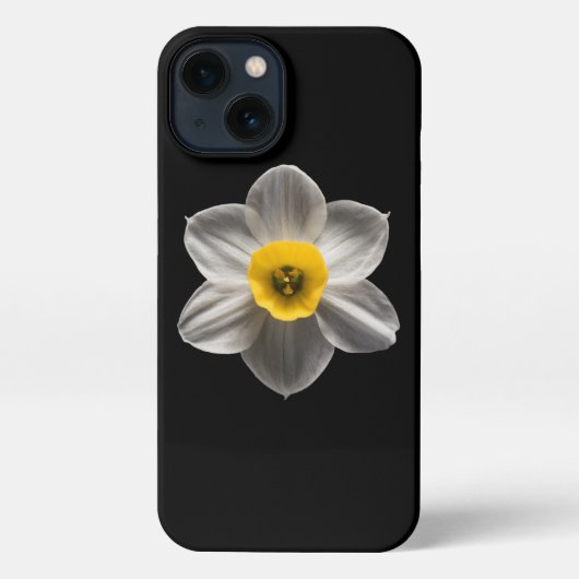 Etui iPhone 13 Flowers | White Daffodil Flower (Verso)