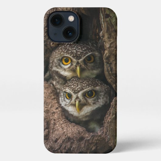 Etui iPhone 13 Forest | Deux Owls Looking (Verso)
