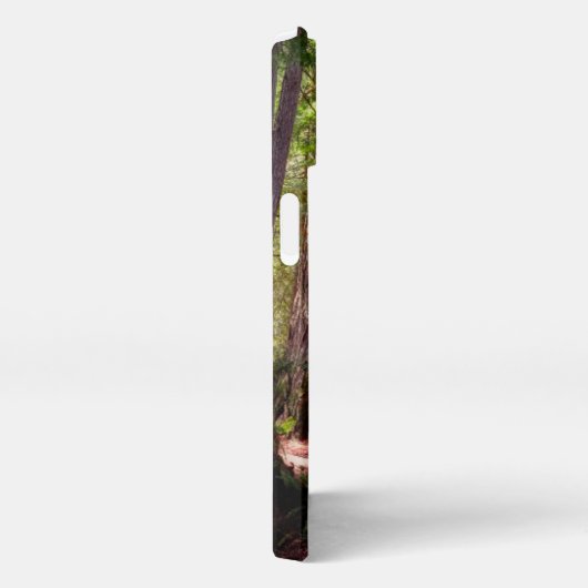 Etui iPhone 13 Forest | Séquwood Forest California (Côté droit)