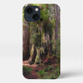 Etui iPhone 13 Forest | Séquwood Forest California (Verso)