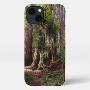 Etui iPhone 13 Forest   Séquwood Forest California
