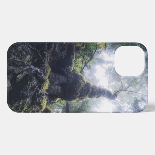 Etui iPhone 13 Forêt | Anaga Parc rural Îles Canaries (Verso Horizontal)