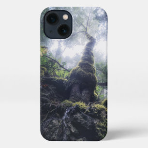 Etui iPhone 13 Forêt Anaga Parc rural Îles Canaries