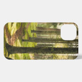 Etui iPhone 13 Forêt | Forêt boréale Suède (Verso Horizontal)