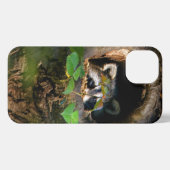 Etui iPhone 13 Forêt | Raccoon Peeking (Verso Horizontal)