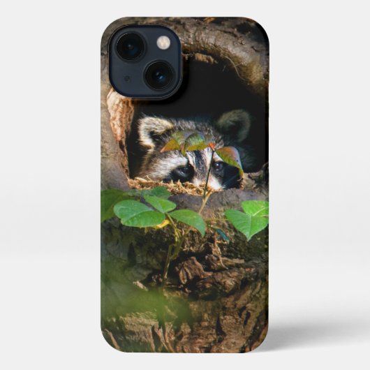 Etui iPhone 13 Forêt | Raccoon Peeking (Verso)