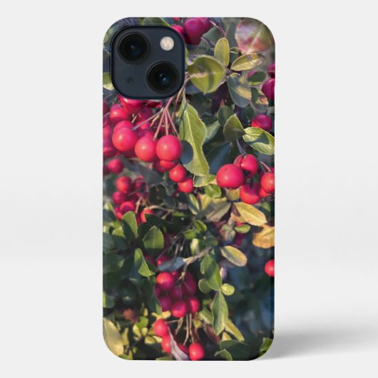 Etui iPhone 13 Fruit d'automne (Verso)