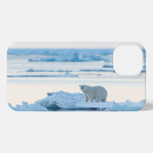 Etui iPhone 13 Glace et neige   Ours polaire Iceberg Norvège