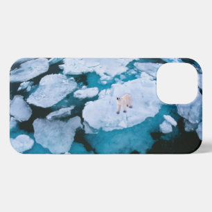 Etui iPhone 13 Glace et neige Ours polaire, Océan Arctique, Sva