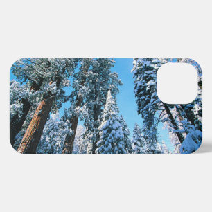 Etui iPhone 13 Glace et neige   Parc national de Sequoia, Califor