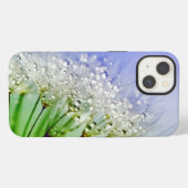 Etui iPhone 13 Graines de pissenlit avec gouttelettes de rosée (Verso Horizontal)