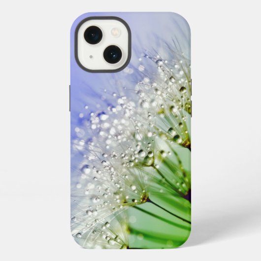 Etui iPhone 13 Graines de pissenlit avec gouttelettes de rosée (Verso)