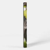 Etui iPhone 13 Grenouille d'arbre captive de Tapichalaca (Côté droit)