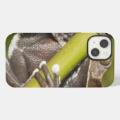 Etui iPhone 13 Grenouille d'arbre captive de Tapichalaca (Verso Horizontal)