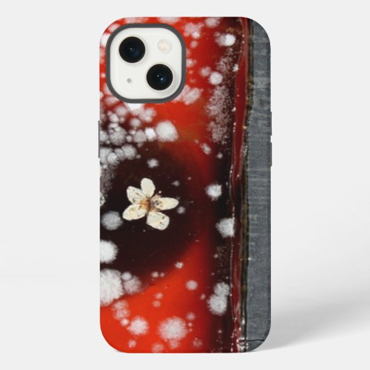 Etui iPhone 13 Immortalité 2 (Verso)