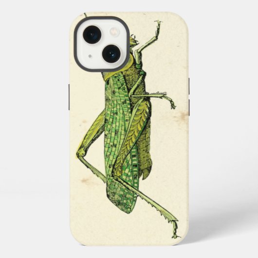Etui iPhone 13 Impression encadrée de sauterelles vertes (Verso)