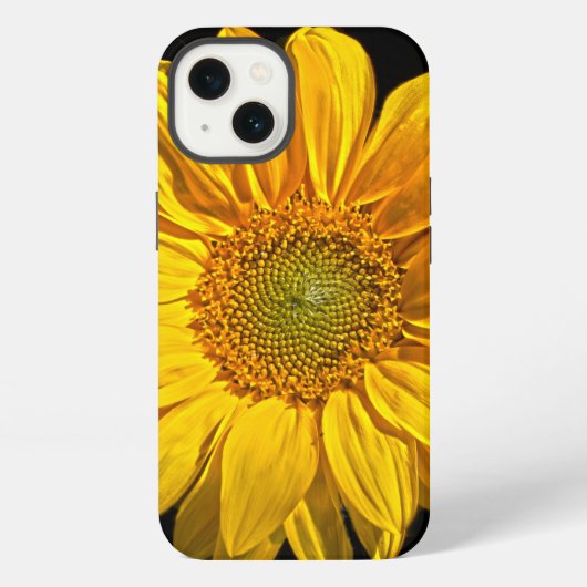 Etui iPhone 13 iphcnm de tournesol (Verso)