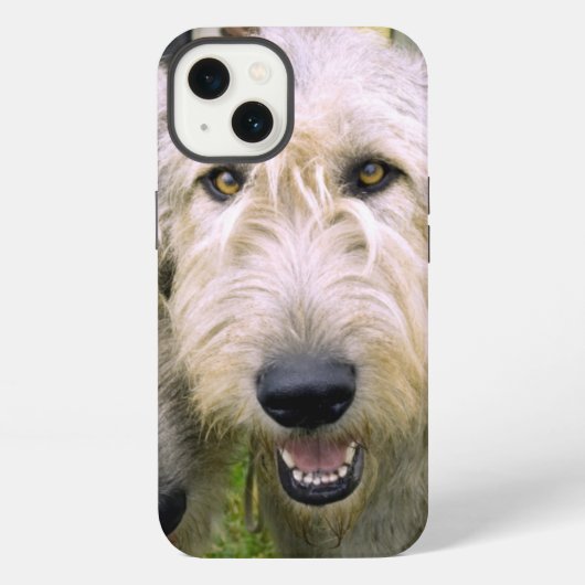 Etui iPhone 13 Irish Wolfhound (Verso)