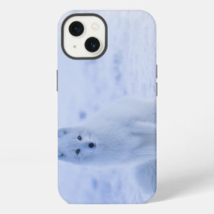 Etui iPhone 13 Islande Renard arctique