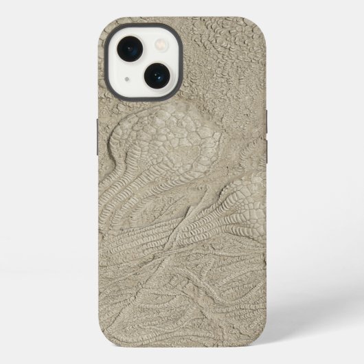 Etui iPhone 13 La méduse de la collection de fossiles (Verso)