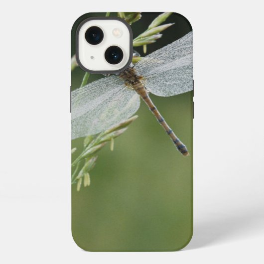 Etui iPhone 13 La rosée a couvert la libellule de Darner (Verso)
