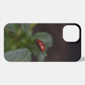 Etui iPhone 13 Ladybug (Verso Horizontal)