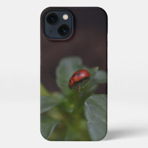 Etui iPhone 13 Ladybug