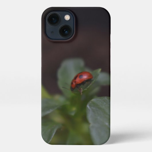 Etui iPhone 13 Ladybug (Verso)
