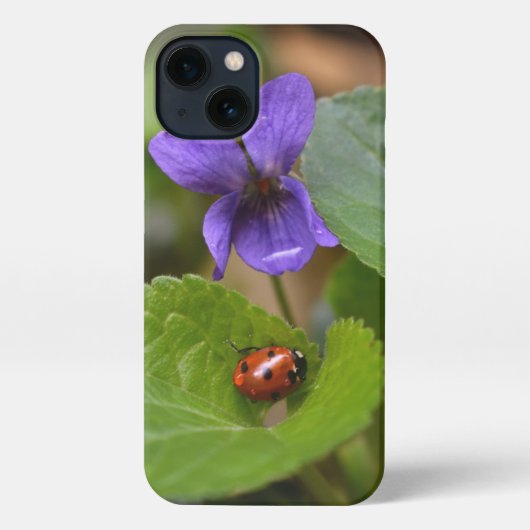 Etui iPhone 13 Ladybug sur les fleurs de violet doux (Verso)