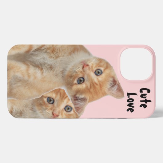 Etui iPhone 13 Le coque iphone du chat caché (Verso Horizontal)