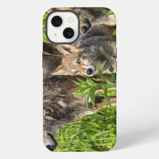 Etui iPhone 13 Les Etats-Unis, Minnesota, grès, faune 12 du (Verso)