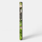 Etui iPhone 13 Les Etats-Unis, Minnesota, grès, faune 12 du (Côté gauche)