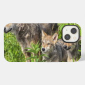 Etui iPhone 13 Les Etats-Unis, Minnesota, grès, faune 12 du (Verso Horizontal)