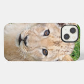 Etui iPhone 13 Lion 016 (Verso Horizontal)