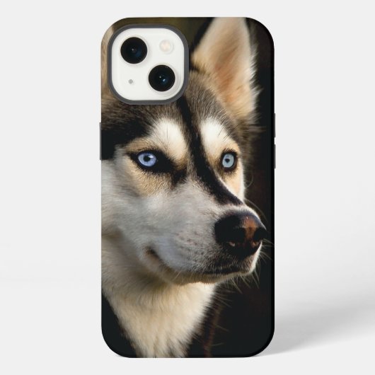Etui iPhone 13 Magnifique Coussin de Lancement Husky (Verso)