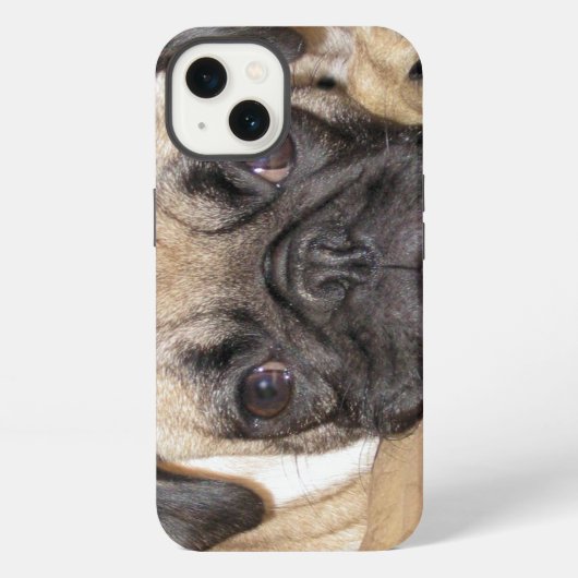 Etui iPhone 13 Mignon chiot Pug (Verso)