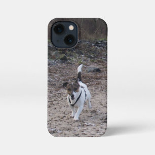 Etui iPhone 13 Mini Capo von Oppenheim, Jack Russell Terrier Chien