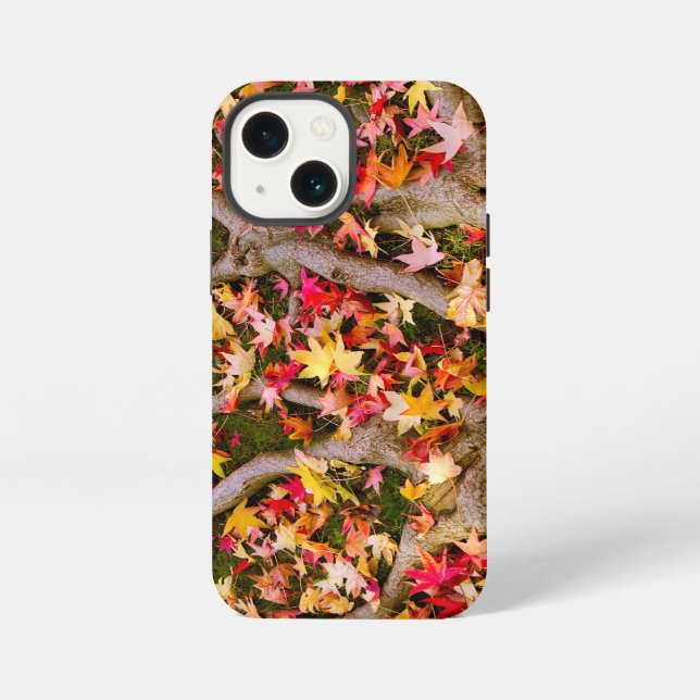 Etui iPhone 13 Mini Feuille d'érable colorée (Verso)