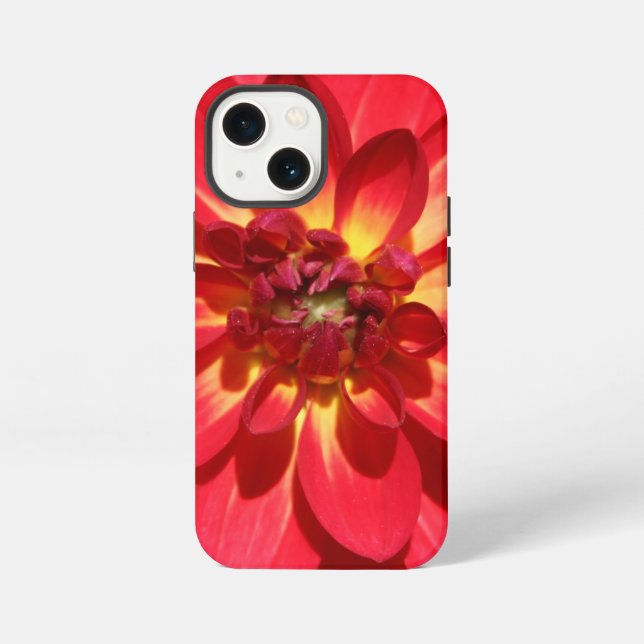 Etui iPhone 13 Mini Fleur de Dahlia Red Fire (Verso)