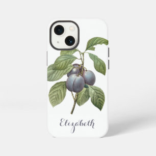 Etui iPhone 13 Mini Fruits alimentaires vintage, prunes de jardin viol