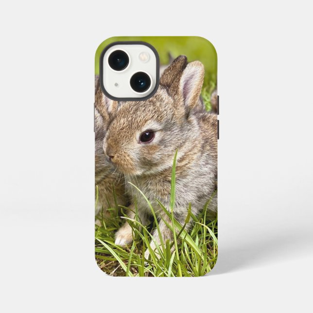Etui iPhone 13 Mini Lapin Mignon (Verso)